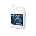 New Millennium Winter Frost - Image 2