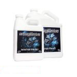 New Millennium Winter Frost